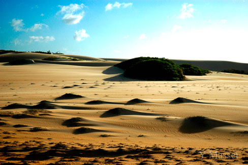Dunes de Jacum